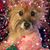 Anna Maria Conley's profile image