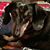 Tina Ingell's profile image