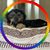 Tamra Lowe's profile image
