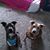 Christine Crymes's profile image