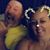 Josieann Elliott Brann's profile image