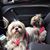Mercedes Prieto's profile image