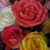 Judy Dobbins's profile image