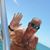 Bruce Brown's profile image