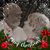Carolyn Barcus Booth's profile image