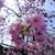 Madoka Satoenglebrecht's profile image