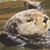 Jeanne DeRusha's profile image