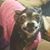 Marilyn Hendricks's profile image