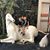 Becca Ratliffe's profile image