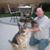 Gary Temel's profile image