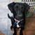 Schyerl Trim's profile image