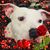 Lisa Frey's profile image
