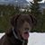 Scott Becker's profile image