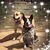 Cindy Davis's profile image