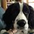 Mary Shorkey's profile image