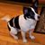 RoseMarie Donnelly Cruz's profile image