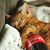 Laura Sue Guyton's profile image