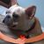 Peter Pavlovic's profile image