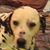 Tom Wermuth's profile image