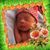 Yam Glodias's profile image
