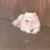 Jim Vail's profile image
