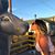 Brianna Joyce's profile image