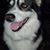 Jeff Gister's profile image