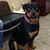 Priscilla Dvorkin's profile image