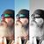 David Mills's profile image