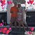 Lisa Unstead's profile image