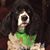 Nicholas Quintavella's profile image