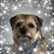 Gareth Woods's profile image