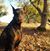 Nikki Boehle's profile image