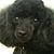 Melody Clemente's profile image