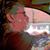 Thomas Ace Fraley's profile image