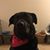 Elizabeth Boyer Hendricks's profile image