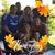 Adolfo Gonzalez's profile image