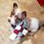 Linda Sullivan's profile image