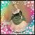 Cheryl Stover's profile image