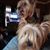 Jimmy Easterling's profile image
