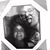 Laraine Joy Bedzyk Zady's profile image