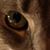 Rich Muskopf's profile image