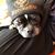 Christopher Powers's profile image