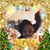 Sheldon Blocker's profile image