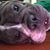 Robert Farthing's profile image