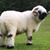 Noeleen Fields's profile image