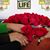 Dawn L Valles's profile image