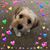 Liz Petruska's profile image