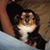 Linda Canup's profile image
