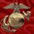 Tony Mastrolonardo's profile image